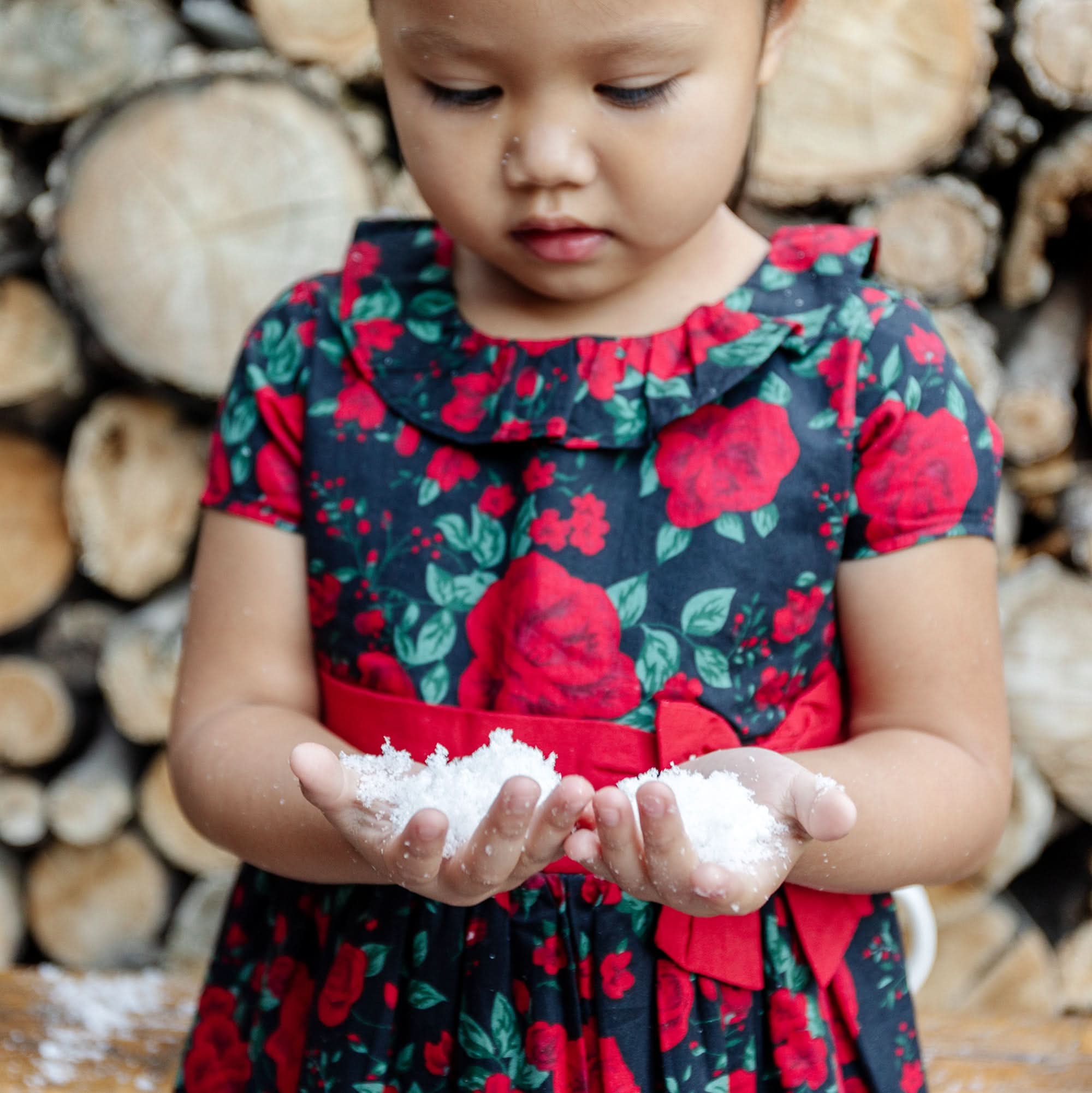 Hope & Henry - Girls Ruffle Collar Organic Party Dress - 4 / Black Holiday Rose Hope & Henry - Girls Ruffle Collar Organic Party Dress - 4 / Black Holiday Rose