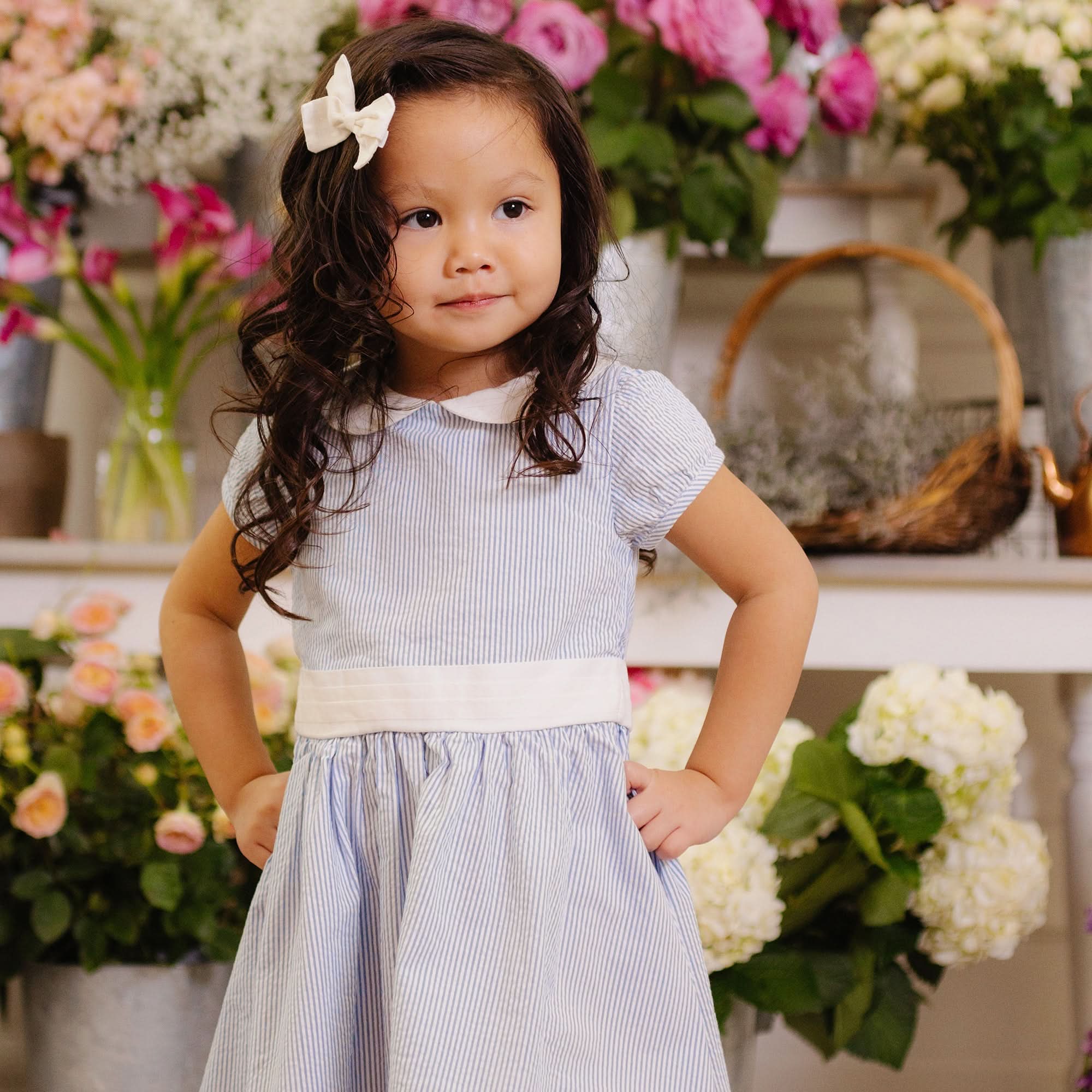 Girls Organic Seersucker Peter Pan Collar Dress - 8 / Blue Seersucker Girls Organic Seersucker Peter Pan Collar Dress - 8 / Blue Seersucker