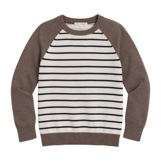 BOYS Taupe Colorblock Organic Raglan Sweater