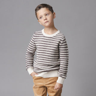 BOYS Chocolate and Tan Stripe Organic Crewneck Sweater