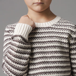 BOYS Chocolate and Tan Stripe Organic Crewneck Sweater