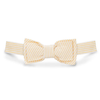 BOYS Yellow Seersucker Seersucker Bow Tie