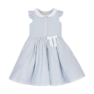 blue gingham peter pan collar dress Blue Peter Pan Collar Mini Gingham Dress