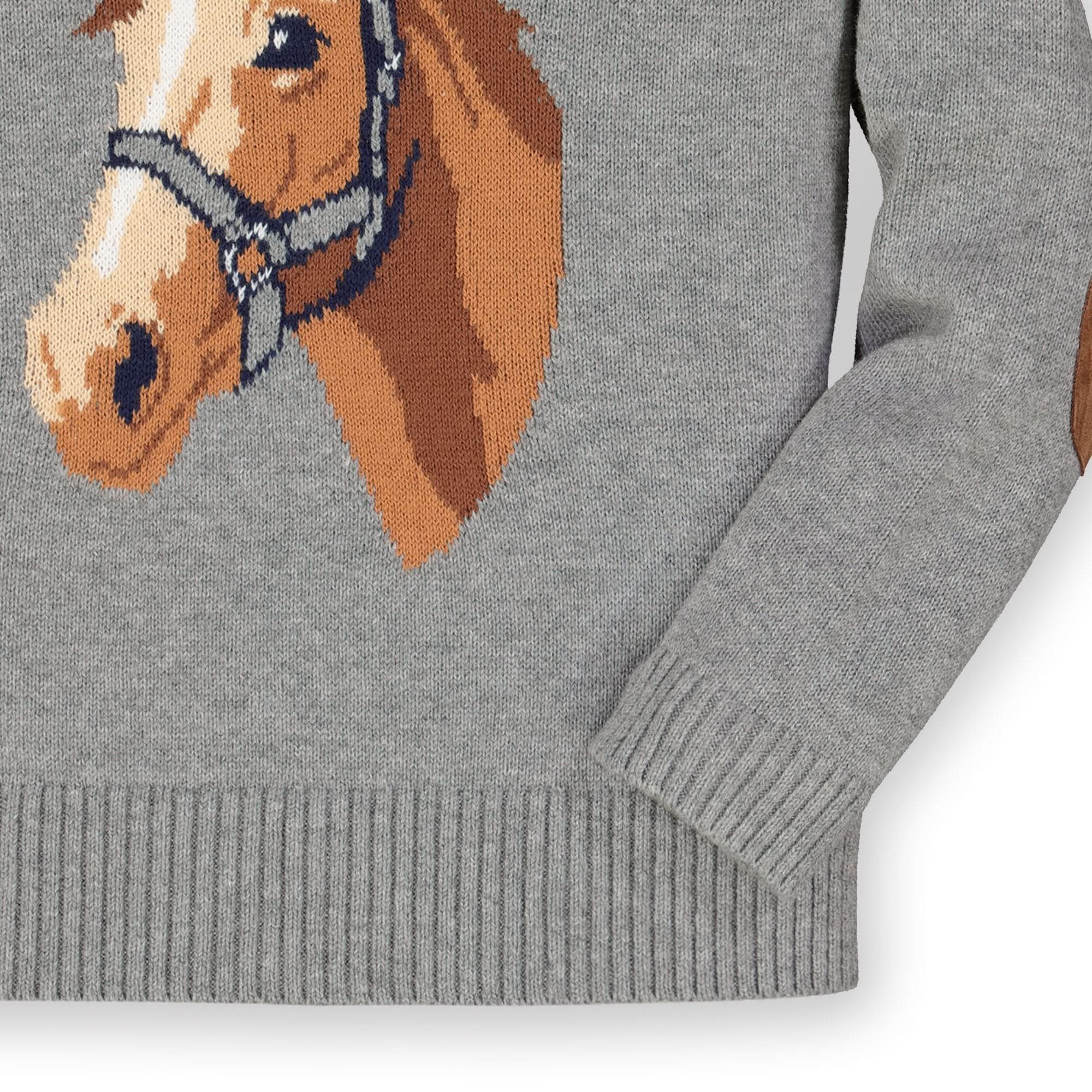 Horse sweater sale girl