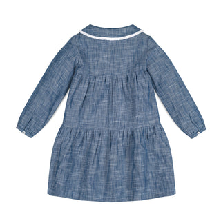 Button Front Chambray Dress