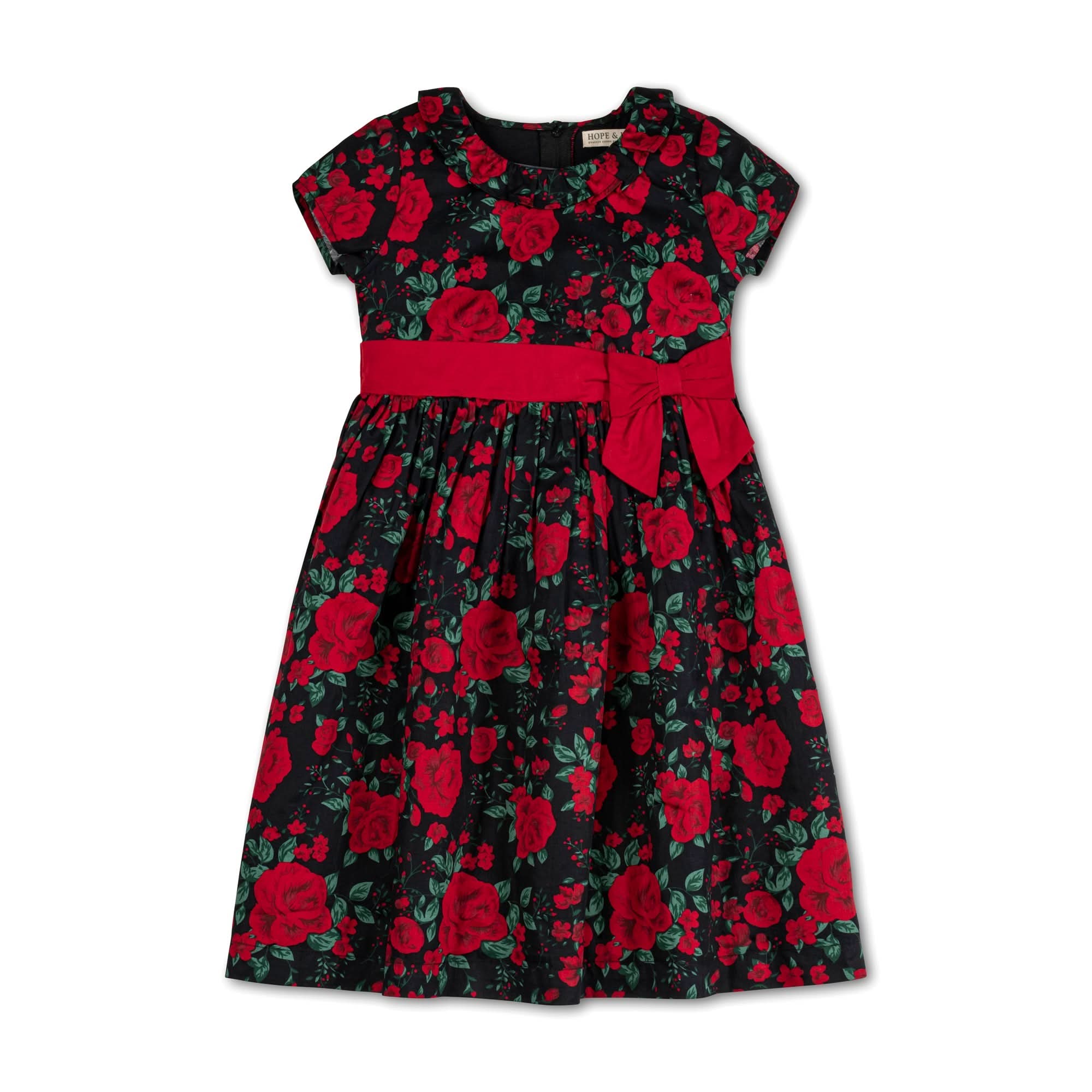 Hope & Henry - Girls Ruffle Collar Organic Party Dress - 4 / Black Holiday Rose Hope & Henry - Girls Ruffle Collar Organic Party Dress - 4 / Black Holiday Rose