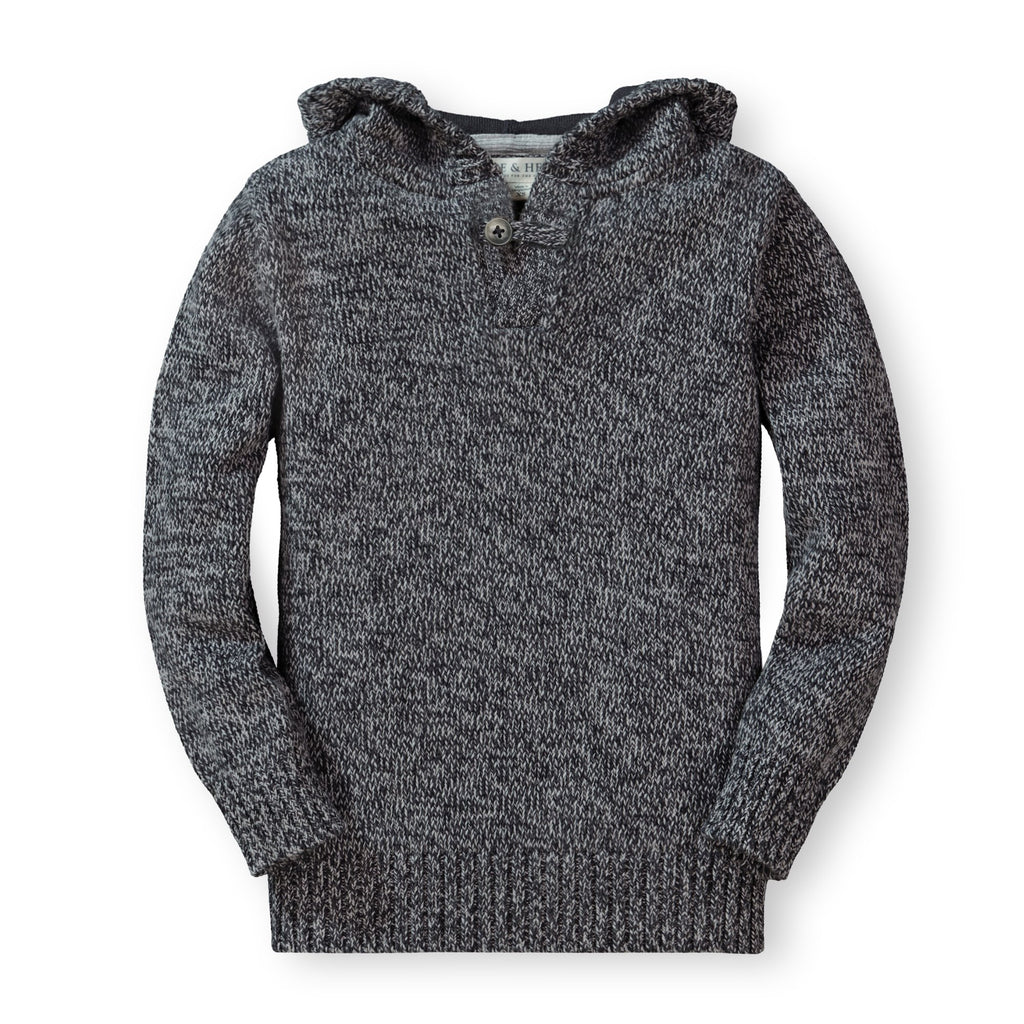 Hooded Pullover Sweater | Hope & Henry Boy