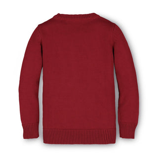 Varsity Pullover Sweater - Hope & Henry Boy
